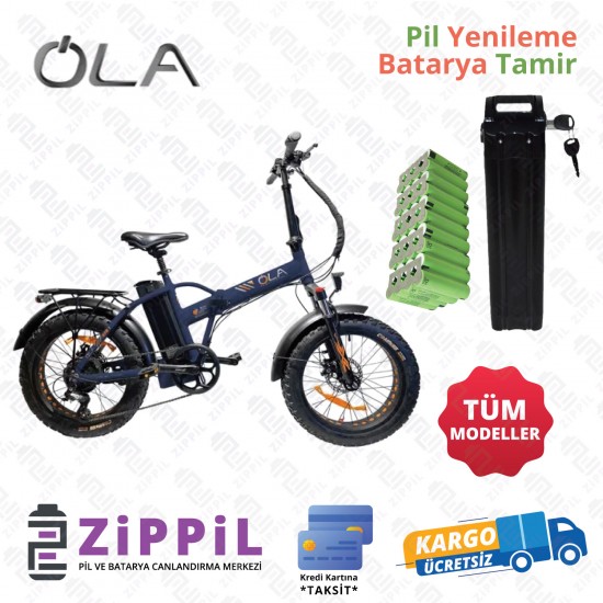 Ola Elektrikli Bisiklet Batarya Tamir Pil Yenileme