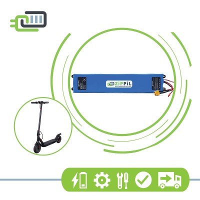 GoMaster ProLucky Scooter Empowered Battery