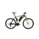 Cadenza E-Bike 1000W 48V16Ah 75 Km/h Yesil