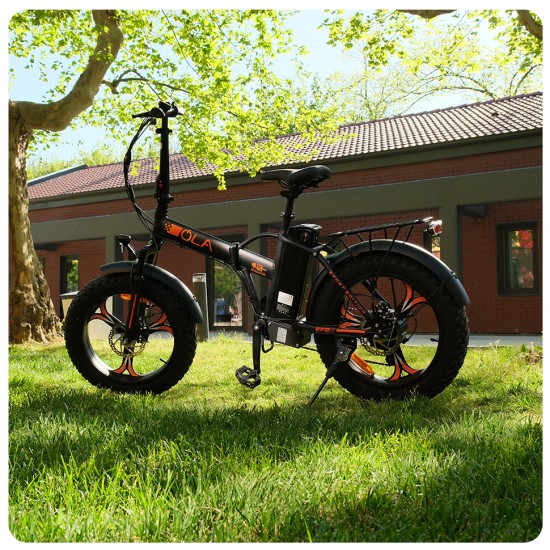 OLA Electrofold EFB5 250W 36V10,4Ah 25 Km/h Siyah