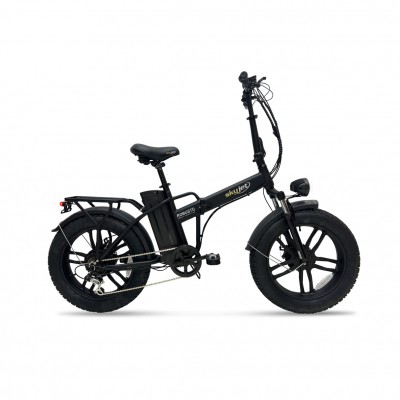 Skyjet Robusto 250W Hupo 48V13Ah 25 Km/h Siyah