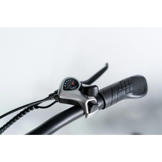 T-Bike Robust X8 250W 48V 15Ah 25 Km/h Gri
