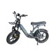 T-Bike Vifa Q8 250W 48V 20Ah 25 Km/h Gri