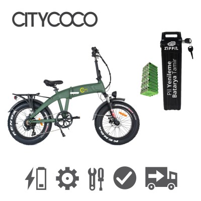CityCoco Electric Bicycle Battery Renew