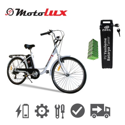 MotoLux Electric Bicycle Battery Renew
